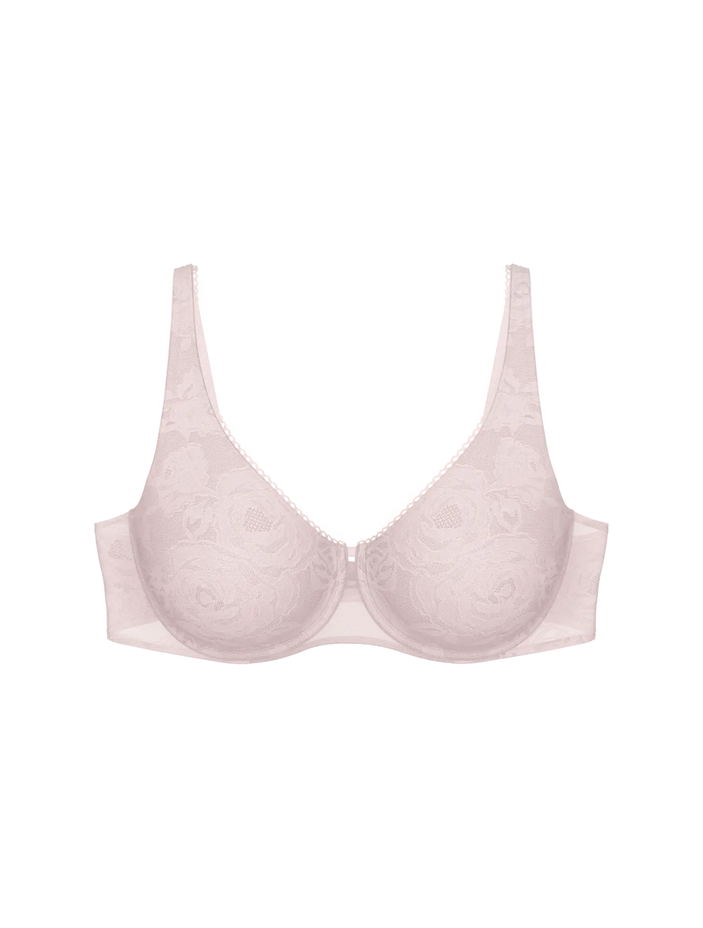 Triumph Wild Rose Sensation W01