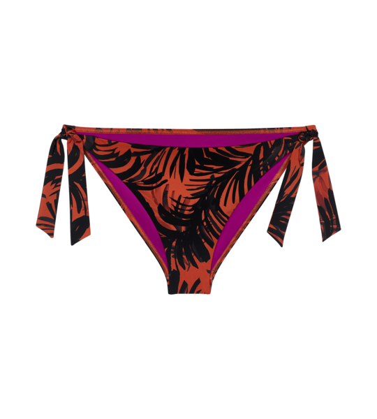 Triumph Summer Palm Tai