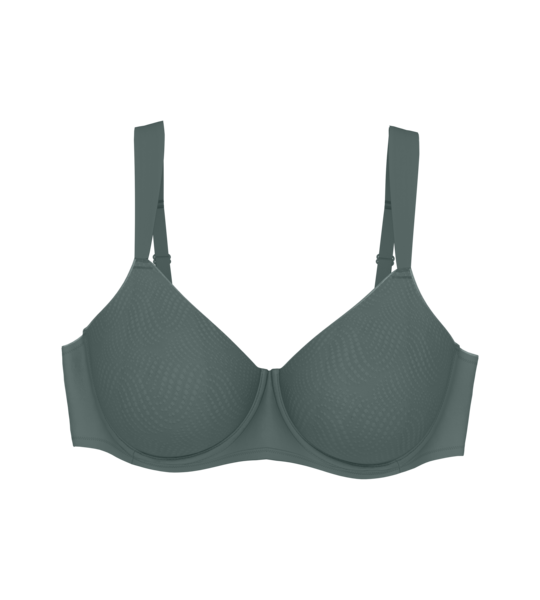 Triumph Essential Minimizer T W X