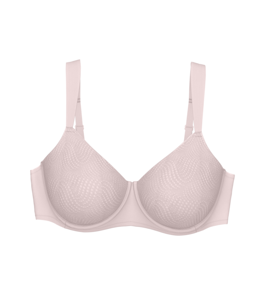Triumph Essential Minimizer T W X